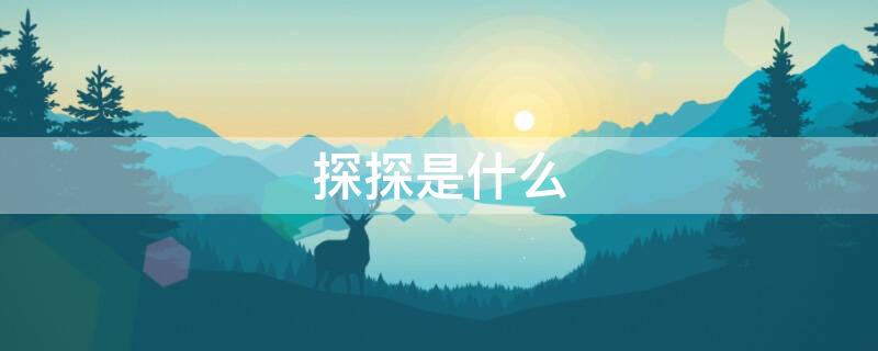 探探是什么