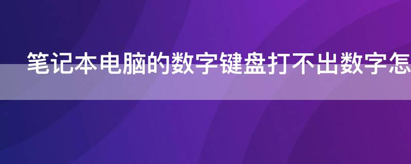笔记本电脑的数字键盘打不出数字怎么办