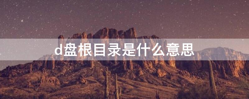 d盘根目录是什么意思