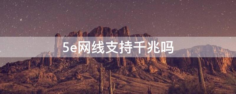 5e网线支持千兆吗