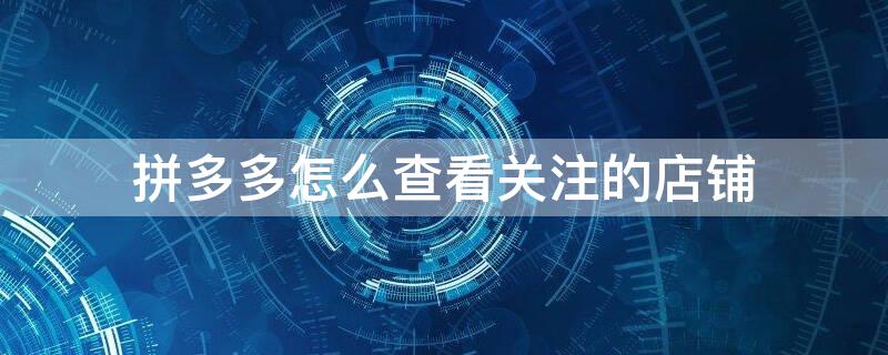 拼多多怎么查看关注的店铺