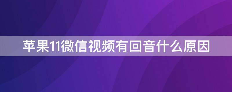 iPhone11微信视频有回音什么原因
