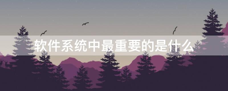 软件系统中最重要的是什么