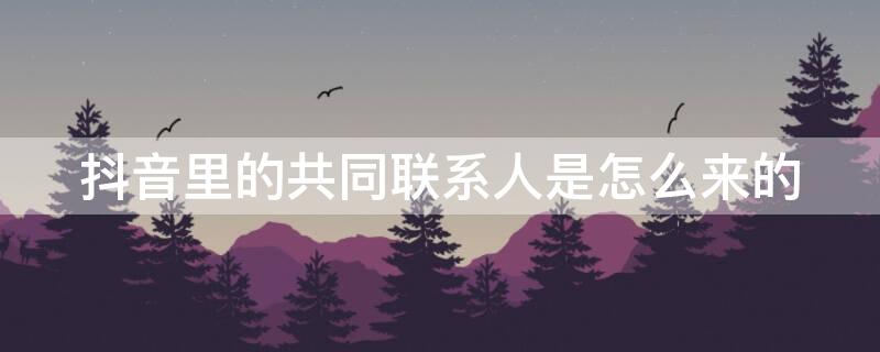 抖音里的共同联系人是怎么来的
