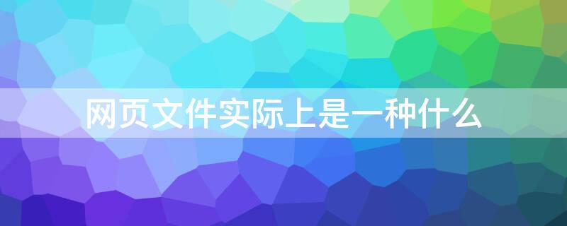 网页文件实际上是一种什么