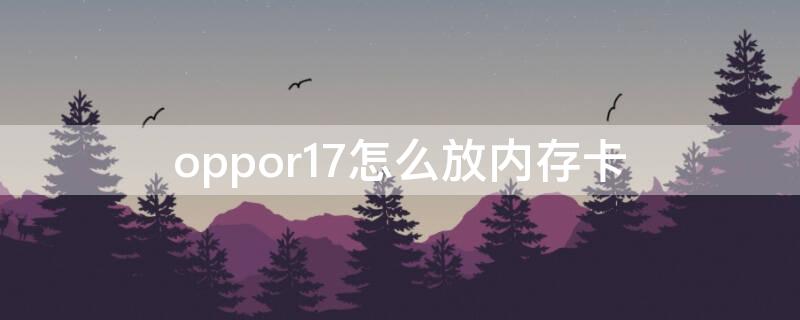 oppor17怎么放内存卡