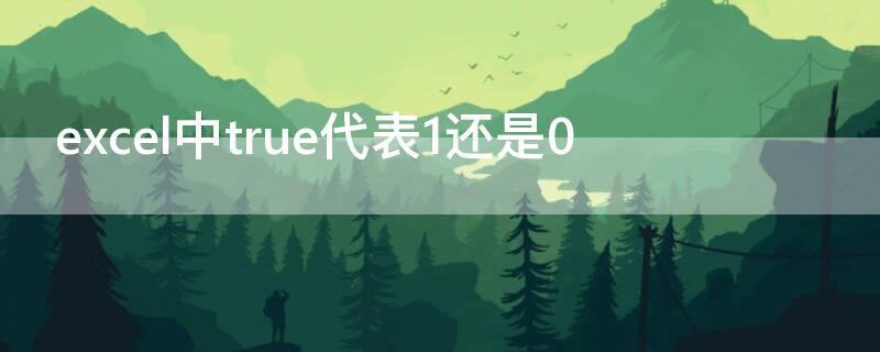excel中true代表1还是0