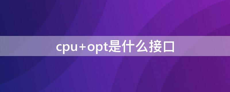 cpu opt是什么接口