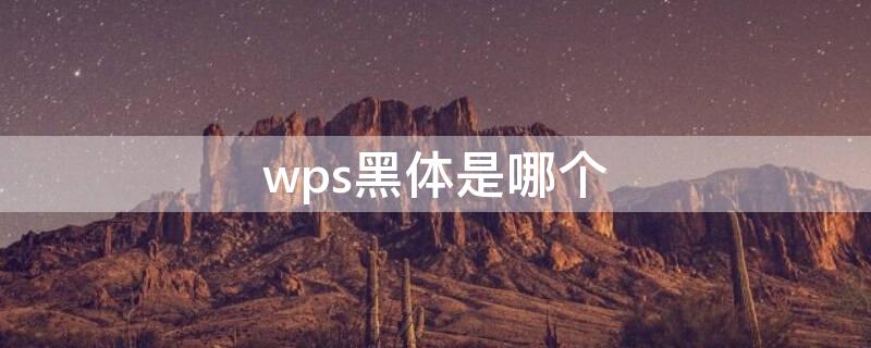 wps黑体是哪个
