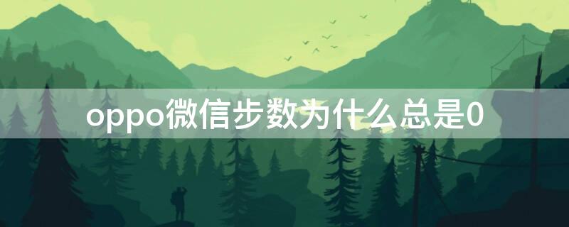 oppo微信步数为什么总是0
