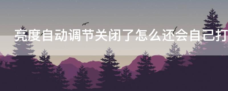 亮度自动调节关闭了怎么还会自己打开