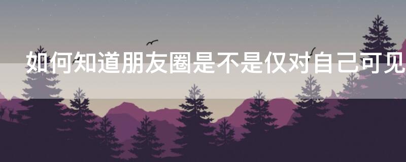 如何知道朋友圈是不是仅对自己可见