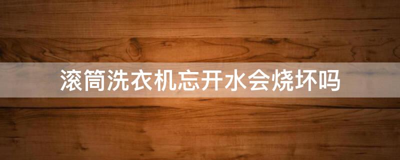 滚筒洗衣机忘开水会烧坏吗