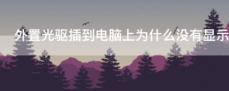 外置光驱插到电脑上为什么没有显示