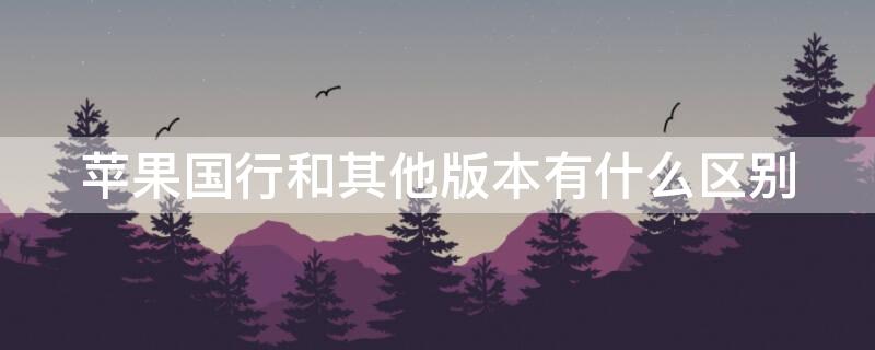 iPhone国行和其他版本有什么区别