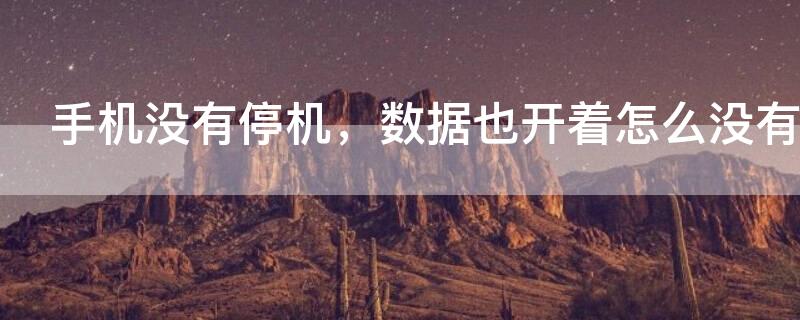 手机没有停机，数据也开着怎么没有网络