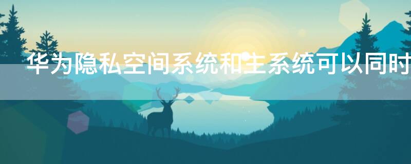 华为隐私空间系统和主系统可以同时进行么