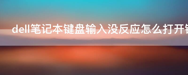 dell笔记本键盘输入没反应怎么打开键盘