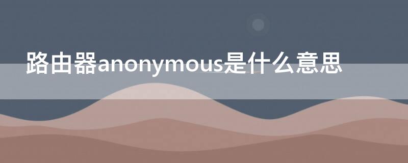 路由器anonymous是什么意思