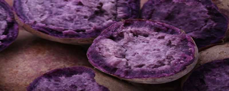 紫薯盆栽种植方法 盆栽紫薯怎么种植