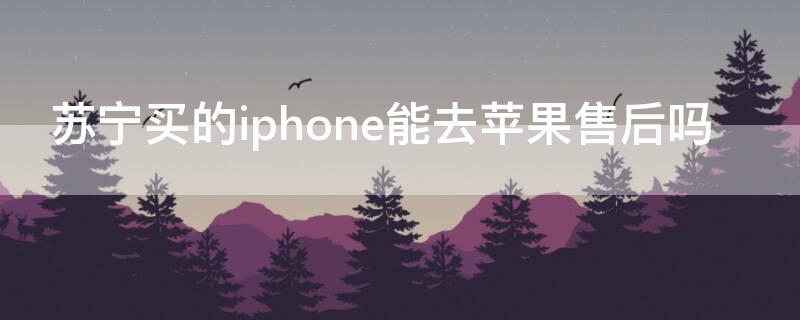 苏宁买的iPhone能去iPhone售后吗