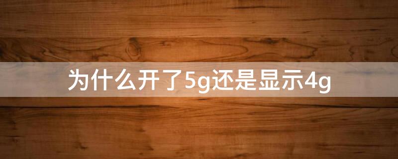 为什么开了5g还是显示4g