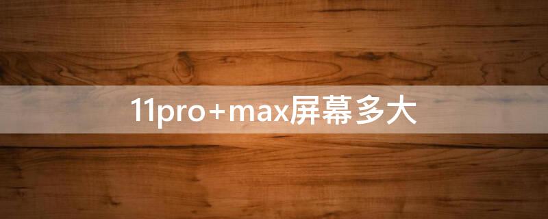 11pro max屏幕多大