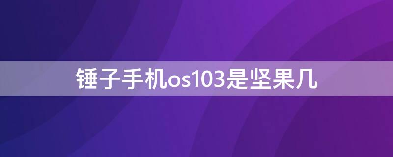 锤子手机os103是坚果几