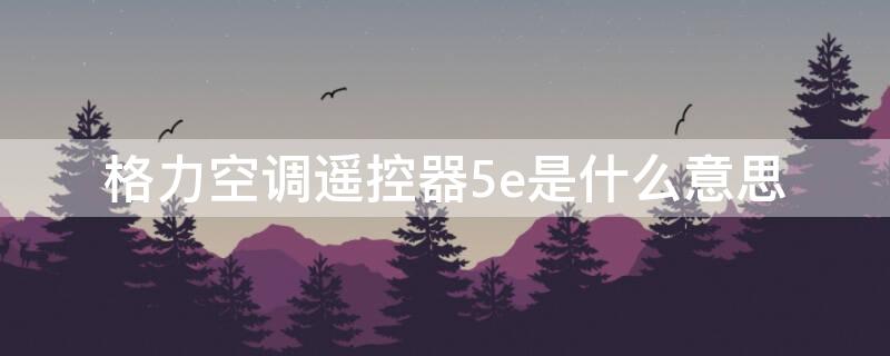 格力空调遥控器5e是什么意思