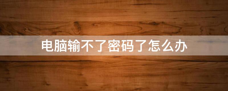 电脑输不了密码了怎么办