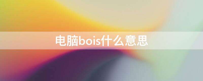 电脑bois什么意思