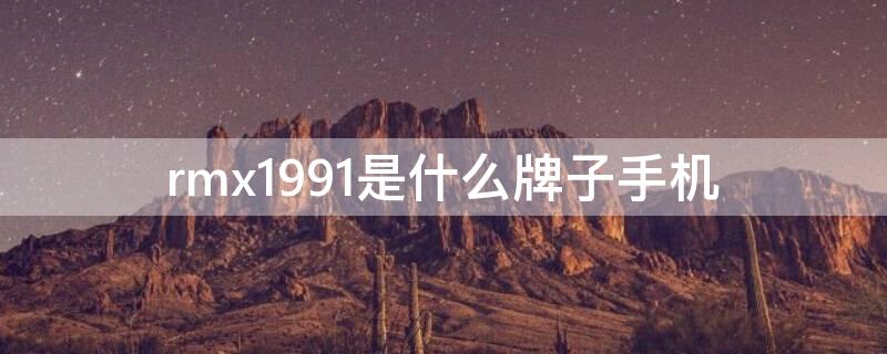 rmx1991是什么牌子手机