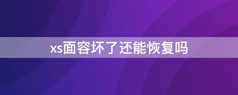 xs面容坏了还能恢复吗