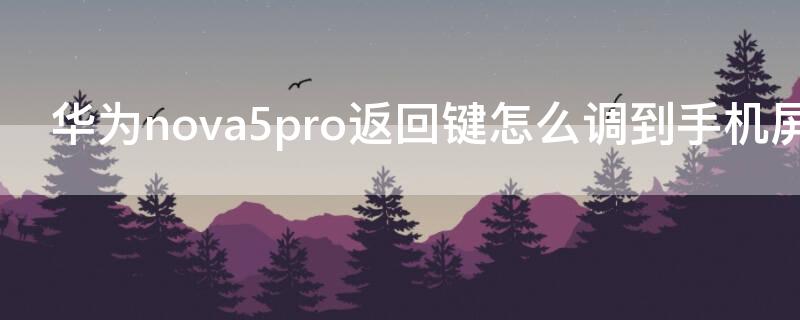 华为nova5pro返回键怎么调到手机屏上