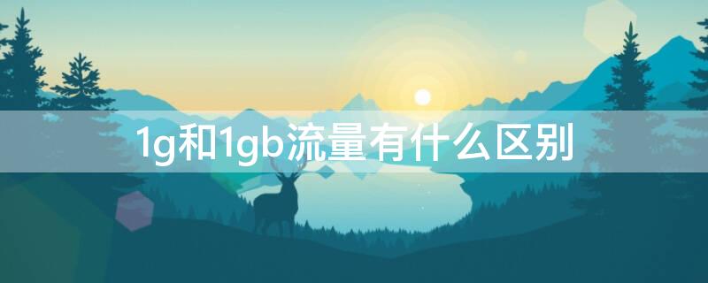 1g和1gb流量有什么区别