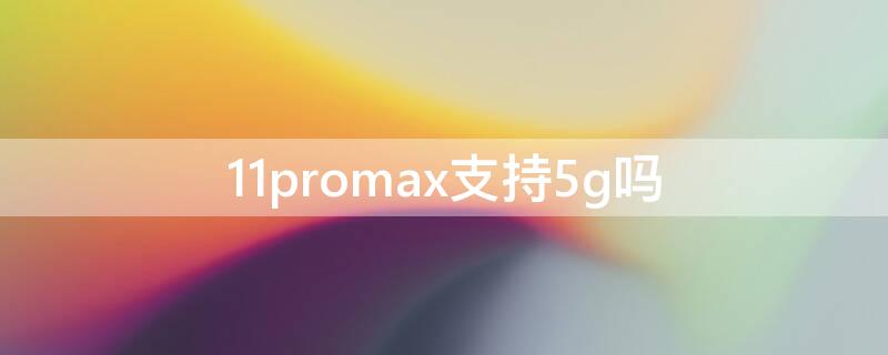 11promax支持5g吗