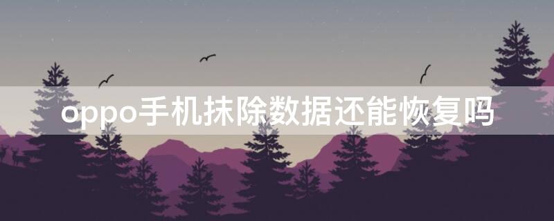 oppo手机抹除数据还能恢复吗
