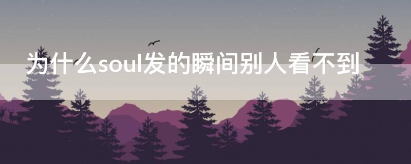 为什么soul发的瞬间别人看不到