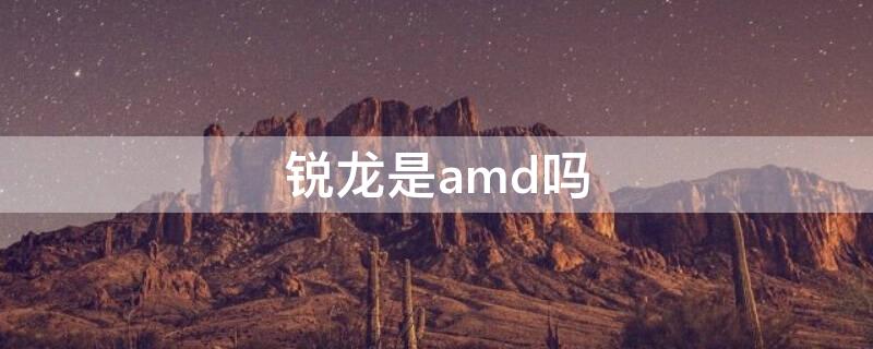 锐龙是amd吗