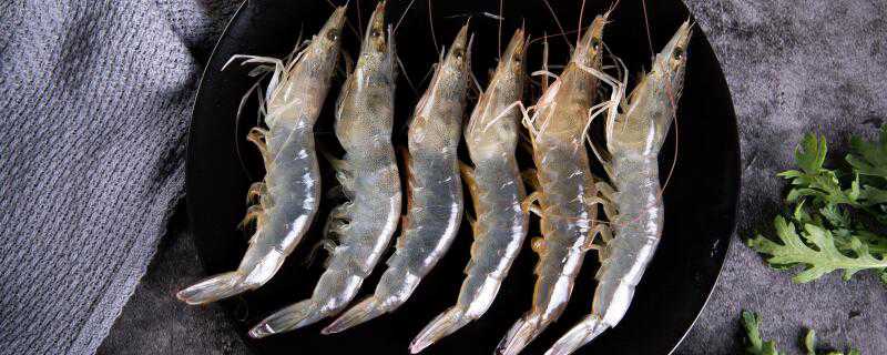 基围虾养殖技术条件 超市基围虾养殖技术条件