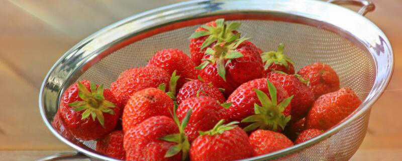 草莓园如何选择 草莓园如何选择品种