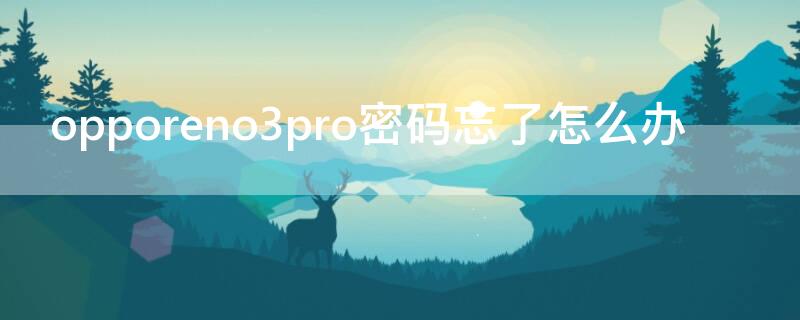 opporeno3pro密码忘了怎么办