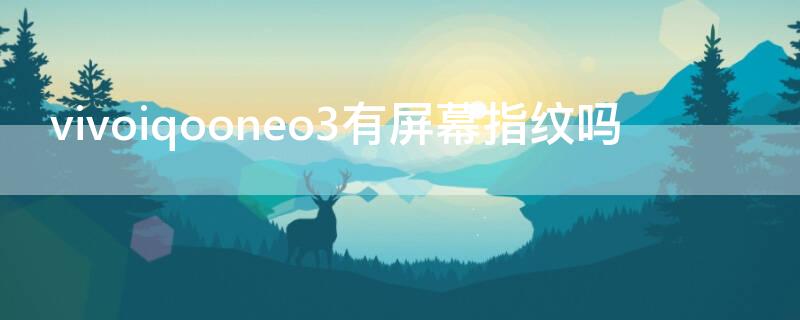 vivoiqooneo3有屏幕指纹吗