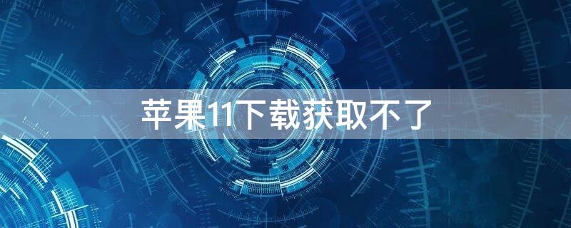 iPhone11下载获取不了