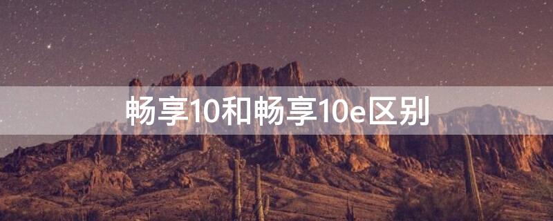 畅享10和畅享10e区别