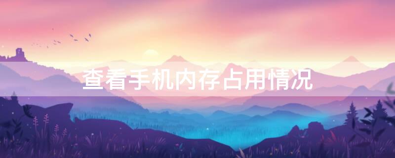 查看手机内存占用情况
