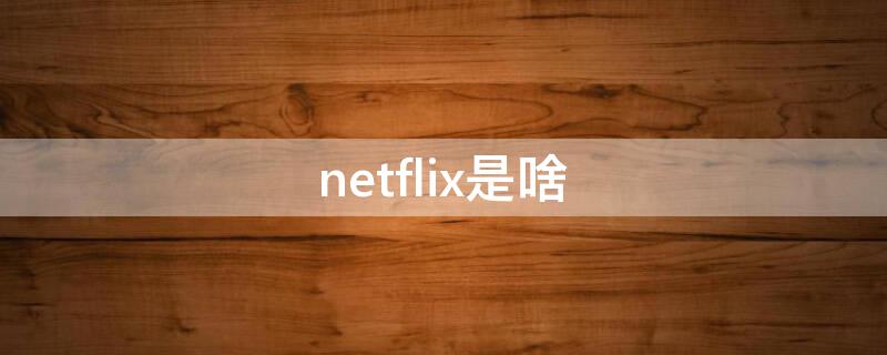 netflix是啥