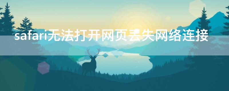 safari无法打开网页丢失网络连接