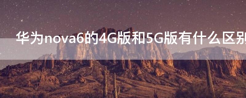 华为nova6的4G版和5G版有什么区别