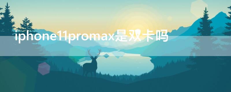 iPhone11promax是双卡吗